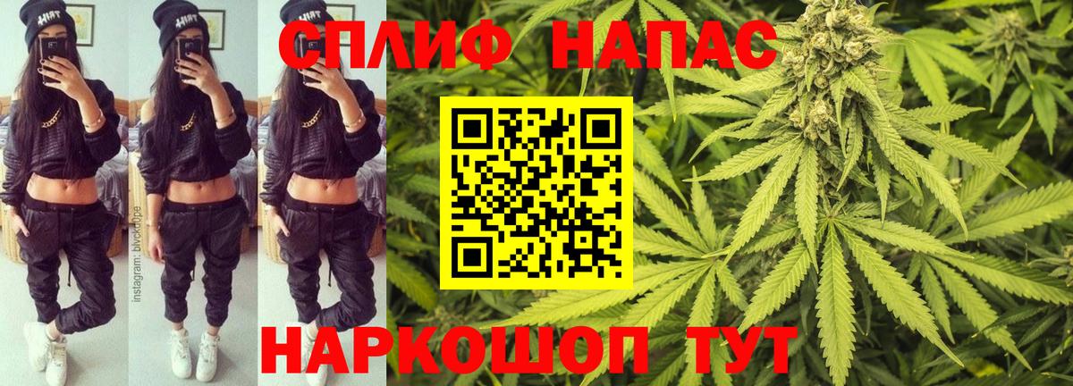 Камышин  МАРИХУАНА сатива  Конопля White Widow  Шишки марихуана VHQ  Вход с VPN 